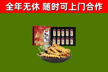 从化区回收冬虫夏草价格